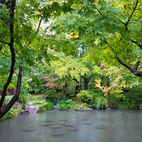 Methode Amaterasu Retrouver equilibre interieur