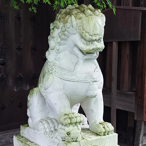 Methode Amaterasu Vitalite estime de soi